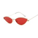 lunettes de soleil steampunk œil de chat